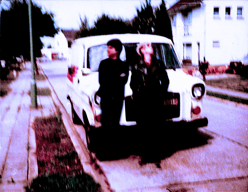 wiitewijk_Marx_Reinzwein_pigsinblueglue1981